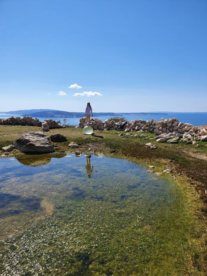 Villa Diny With Pool Pinezići Eksteriør billede